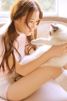 新上门女婿电视剧